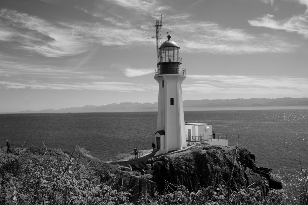 lines_of_sight_8