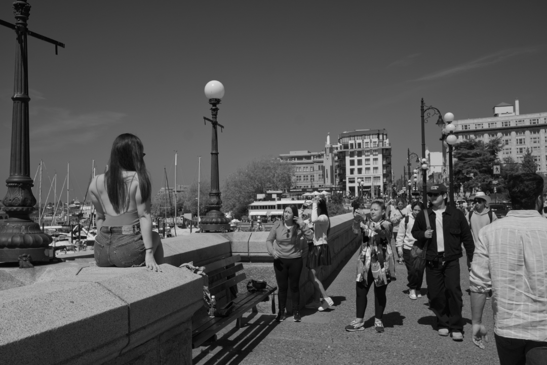 the_government_street_17